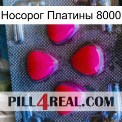 Носорог Платины 8000 13